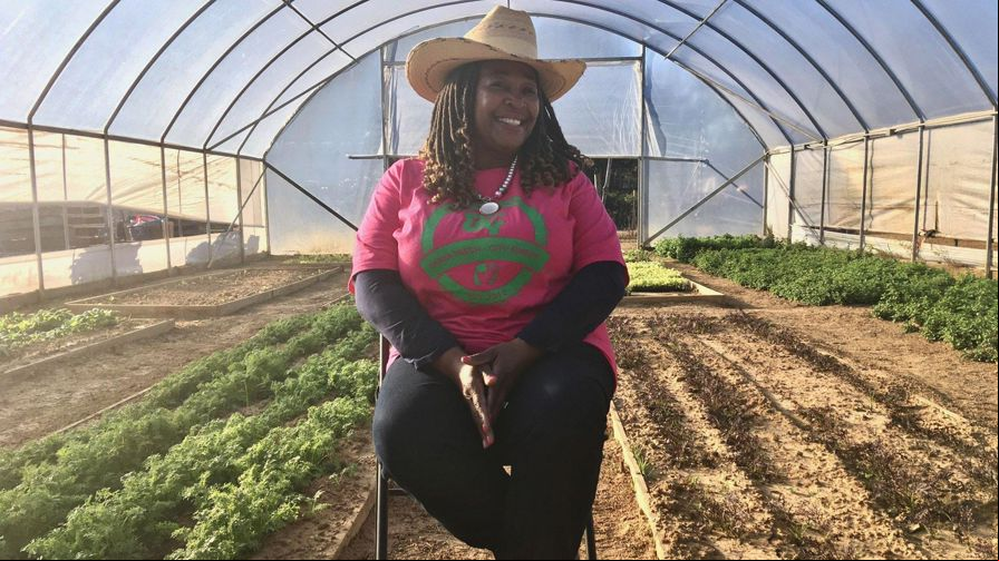 Cindy Ayres sat in a greenhouse